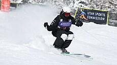 �eský akrobatický ly�a� Matyá� Kroupa.