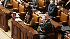 Druhým dnem pokra�uje mimo�ádná sch�ze Sn�movny k hlasování o ned�v��e vlád�...