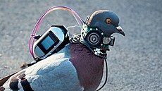 ilustra�ní snímek