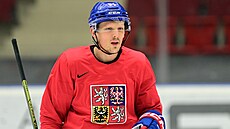 Radim �imek na tréninku reprezentace p�i kempu p�ed olympijskými hrami.