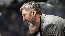 Trenér Jaroslav Nedv�d ze Sparty reaguje v utkání s Plzní.