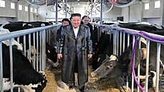 Severokorejský v�dce Kim �ong-un p�i inspekci farmy v provincii Severní...