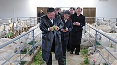 Severokorejský v�dce Kim �ong-un p�i inspekci farmy v provincii Severní...