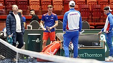 Do víkendových zápas� úvodního kvalifika�ního kola Davis Cupu proti �védsku...