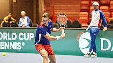 Do víkendových zápas� úvodního kvalifika�ního kola Davis Cupu proti �védsku...