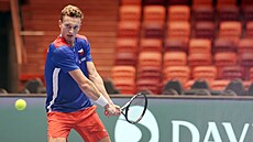 Do víkendových zápas� úvodního kvalifika�ního kola Davis Cupu proti �védsku...