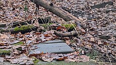 Zaniklé schody v Kr�áku