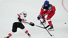 Tereza Plosová se sna�í zablokovat st�elu Laury Meriguetové.