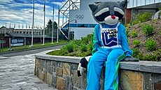 Maskotem her v Lake Placid se stal mýval Roni, jeho� jméno vybraly místní...