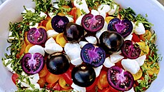 V Austrálii se p�ipravují na prodej geneticky modifikovaných fialových raj�at.