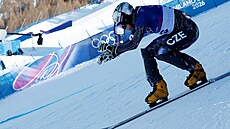 Zuzana Mad�rová jela paralelní ob�í slalom na snowboardu. (8. února 2026)