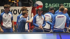 Ji�í Lehe�ka slaví zisk bodu v daviscupové kvalifikaci proti �védsku.