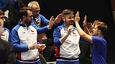 Dalibor Svr�ina slaví výhru v utkání Davis Cupu proti �védsku.