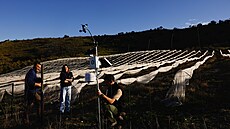 Evropské peníze mí�í i do zem�d�lství (2. února 2026).