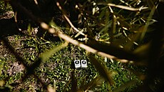 Díky evropským pen�z�m se buduje datová infrastruktura i v zem�d�lství (2....