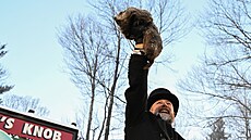 Svi�� Phil v americkém Punxsutawney op�t p�edpovídal, jak dlouho je�t� potrvá...