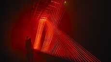 Galerie digitálního um�ní Signal Space získala presti�ní mezinárodní ocen�ní...