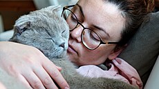 Prémium, ko�ka, �ich, studie, rozpoznání nemoci,