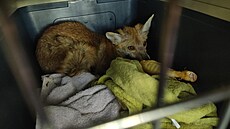 Zachrán�né li��e