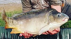 Karel Kope�ek s kaprem, který se nerad fotí