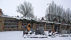 Byst�i�tí plánují krom� instalace Stromu vzpomínek pokra�ovat i v budování...