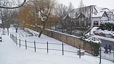 Strom vzpomínek najde na byst�ickém h�bitov� místo v oblasti rozptylové lou�ky...