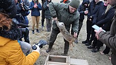 Lednový odborný odchyt zajíc� polních. Projekt vznikl ve spolupráci �eské...