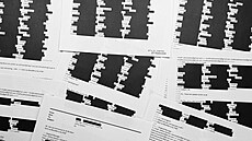 Takzvané Epsteinovy spisy týkající se amerického finan�níka a sexuálního...