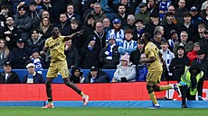 K�ídelník Crystal Palace Ismaila Sarr (vlevo) slaví gól do sít� Brightonu.