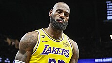 LeBron James (23) z Los Angeles Lakers nesouhlasí s rozhod�ím.