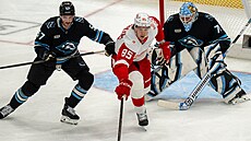 Karel Vejmelka (70) z Utah Mammoth sleduje snahu Elmera Söderbloma (85) z...