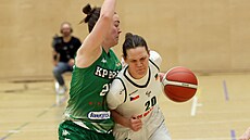 Tereza Halátková (vpravo) z SB� Ostrava se pokou�í obejít Saru Rokkanenovou z...