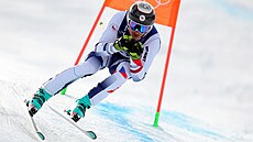 �eský sjezda� Jan Zabyst�an p�i olympijském závod�.