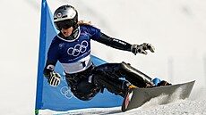 Olympijské medailové nad�je Ester Ledecké skon�ily v paralelním ob�ím slalomu...