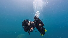 V kovových klecích u malého ostrova Locos na severu Chile skladují potáp��i na...