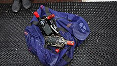 V kovových klecích u malého ostrova Locos na severu Chile skladují potáp��i na...