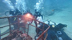 V kovových klecích u malého ostrova Locos na severu Chile skladují potáp��i na...