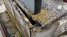 Po�kozený hrob v �íbuzi