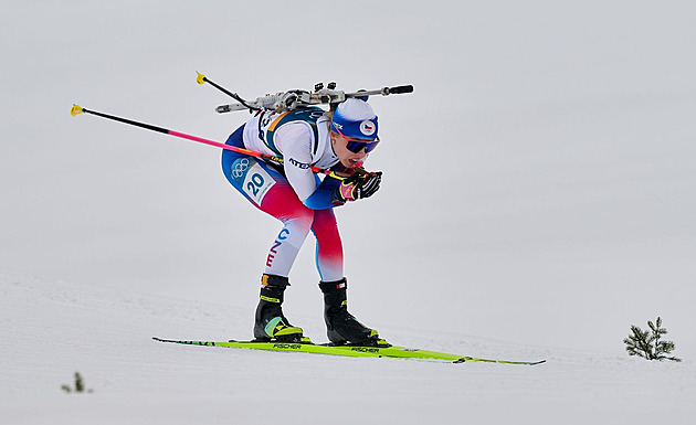 Čokoláda od Karlíka, růže a důležité body. Valentýnské dárky pro Voborníkovou