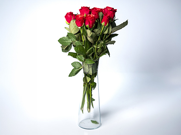 Test pesticidů v růžích: Některé tradiční dárky k Valentýnu byly plné chemie