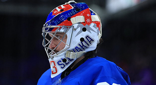 Hvězda, pracanti i provokatéři. Projděte si tým Slováků, který zabojuje o medaili