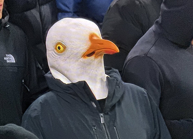 Viděl přes zobák. Fanoušek Brightonu dorazil na zápas v masce racka