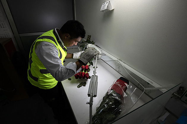 Ve jménu Valentýna a dobrých vztahů. Bogota poslala Kongresu USA 18 tisíc růží