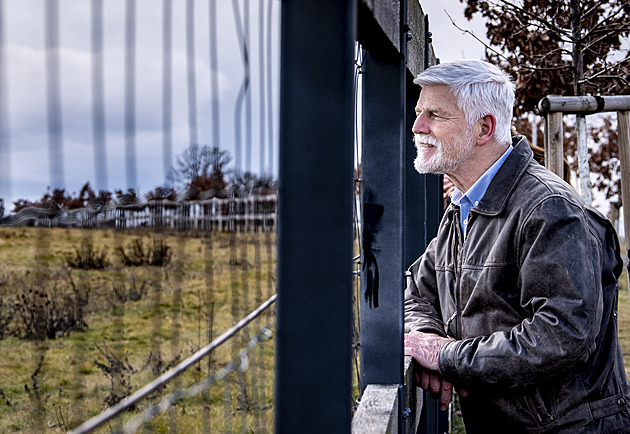 Pavla v Prokopském údolí vítali koně Převalského, kolemjdoucího pozval na pivo