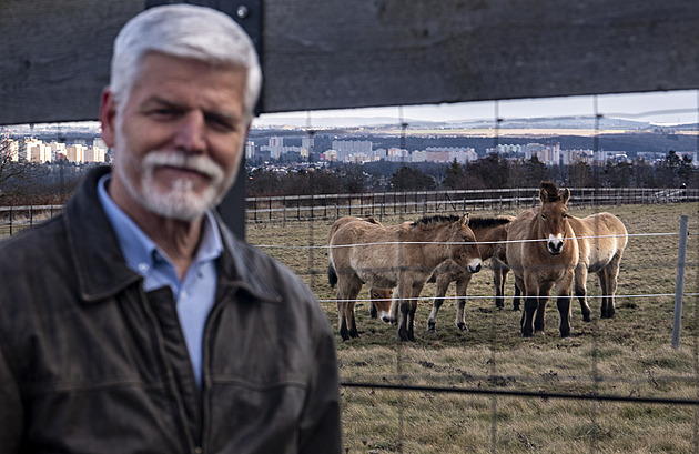 Pavel nebude vládě vetovat rozpočet, který podle odborníků porušuje zákon