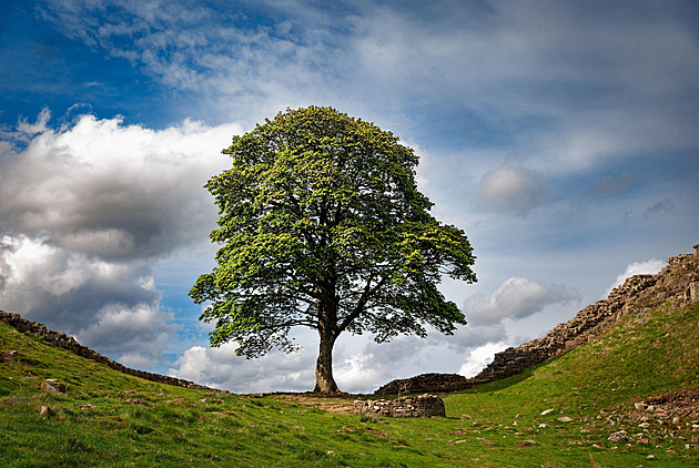 Italský Oblouk lásky není jediný. Zázraky přírody, které zničil člověk i čas