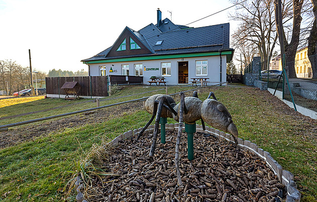 Drsné i něžné zároveň. Vydali jsme se brdskými lesy na nejvyšší vrchol Tok