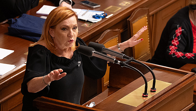 Mají smysl zákony, které pak svorně porušíme? Politici je vymýšlí opakovaně