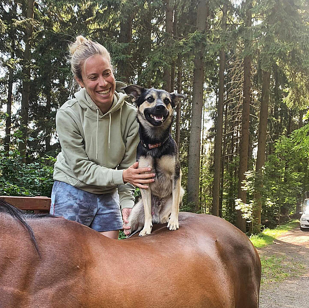 Čtyřnozí mazlíčci českých olympioniků. Kdo je přivítá po návratu domů?