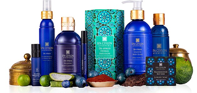 SPA CEYLON: Cesta k rovnov�ze v dob� neust�l�ho tlaku